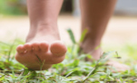 Bare Foot in the Grass